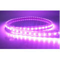 Étanche 5050SMD Flexible LED Light Strip 60LEDs/M couleur pourpre pour les approbations CE RoHS d&#39;arbre de Noël